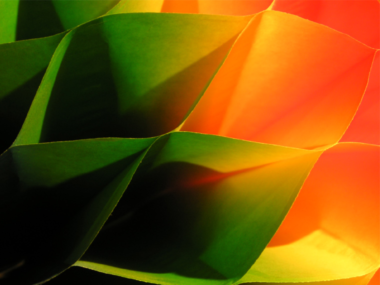 From green to orange