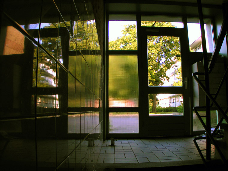The sunny outside