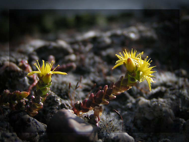 Memories of Summer 2