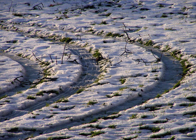Tracks & Thaw