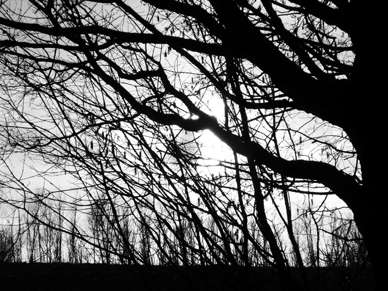 Monochromatic