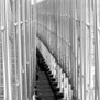 20090406