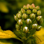 20090506