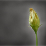 20090828