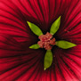20090914