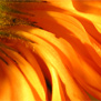 20090915