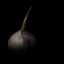 20091207