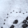 20091217