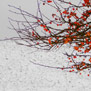 20091218