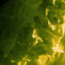 20100113