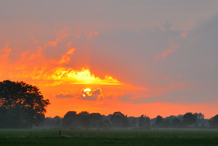 Monday evening