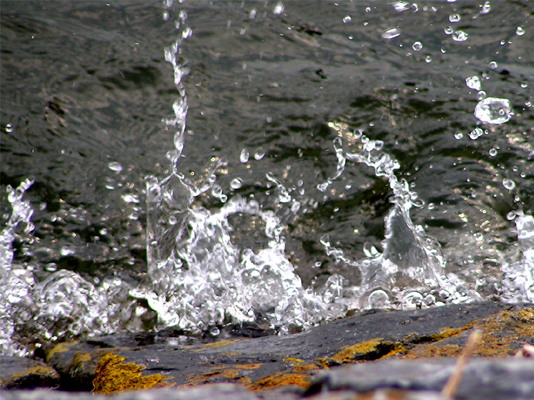 Splash